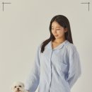 개좋은 유치원 이미지