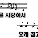 하늘보라 이미지