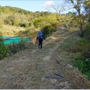 대변항3 이미지