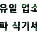 이지클린 이미지