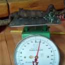 내서읍356 이미지