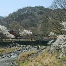 공주-07 Daum카페