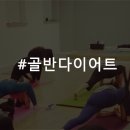 와이알요가