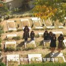 성월 이미지