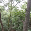 이촌근린공원 이미지