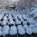 탑골농원 이미지