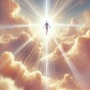 멍밀리 | 라섹 7일차 후기 : 내 눈에 명품백을 하나 넣었다고? 상태