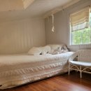 섬진강 플로렌스 이미지