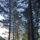 가루실 캠프 이미지