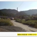 버들민박 이미지