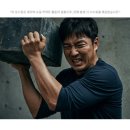 침향명가 발효 침향환 침향단 침향원 효능 80환 4개 후기