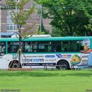 50호어린이공원 네이버블로그