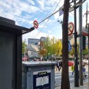 올리브영 앞 횡단보도 이미지