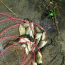 조마면사무소 이미지