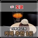 우차본점 | 시부야 분위기 좋은 카페 추천 3곳 ☕