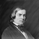 로베르트 슈만(Robert Alexander Schumann, 1810년~1856년) 이미지