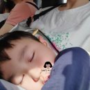 반딧불문구 이미지