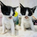 송삼1길-1 이미지