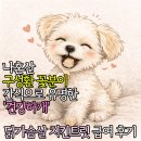 무감치킨 | 수제간식 추천] 나혼산 구성환 꽃분이 동결건조 간식으로 유명한 '견강하개' 닭가슴살 치킨트릿 급여 후기