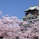 함께 떠나는 일본어 여행 이미지