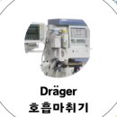 손대하 동물병원 이미지