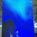 용유해변 이미지