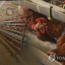 행진농장2농장 이미지