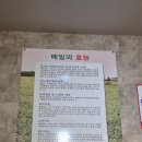 여주한방삼계탕 | 한양마국수 상황버섯반계탕] 여주맛집 솔직후기 이천밥집 여주밥집 여주막국수 이천막국수 여주현지인맛집