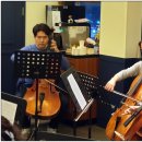 첼로 중급(성인) 이미지