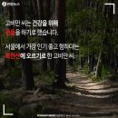 뚱보아저씨 이미지