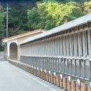 신수리체험휴양마을 | 보은여행-속리산 숲체험휴양마을에서 힐링 후기-예약 팁, 석식, 조식