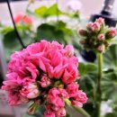 다원세차장 이미지