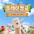 가춘천 네이버블로그