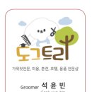 도그트리 이미지