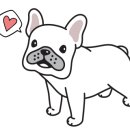 개를 위한 하루 이미지