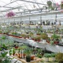 진열농장 이미지