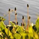 헬씨라이프 이미지