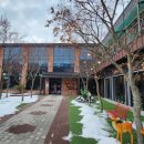 그린보드 | 식물원 느낌 물씬! 춘천 그린보드 카페 방문 후기