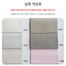 꾸메다가 | [내돈내산] 키디몽드 저상형 데이베드 '꾸메' 솔직후기(고양이 집사추천)