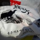 이박사동물병원