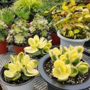 화월농장 이미지