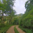 원주굽이길 3코스 회촌달맞이길 이미지