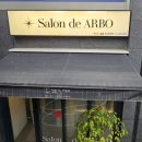 아르보Arbo