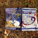 늘푸른낚시 이미지