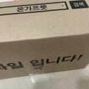 온가 | 과일 추천] 완벽한 숙성&진한 향의 바나나 🍌찐맛집 💛, 온가프룻 🇵🇭 필리핀산 실속형 낱개 바나나 후기❕✨