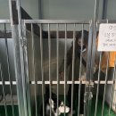 꽃길걷개 이미지