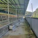 우사축사 이미지