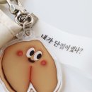 럭키코알라