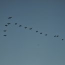 계절그리기 이미지