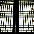 우리 함께 살기 위하여 이미지